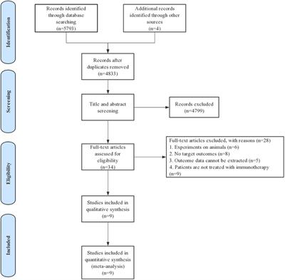 Prognostic Impact of Memory CD8(+) T Cells on Immunotherapy in Human Cancers: A Systematic Review and Meta-Analysis